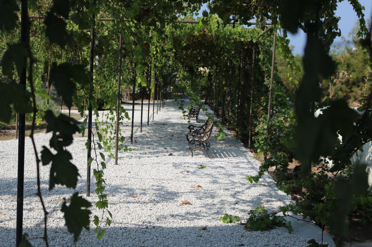 Meryem'S Hotel Agios Epiktitos ภายนอก รูปภาพ