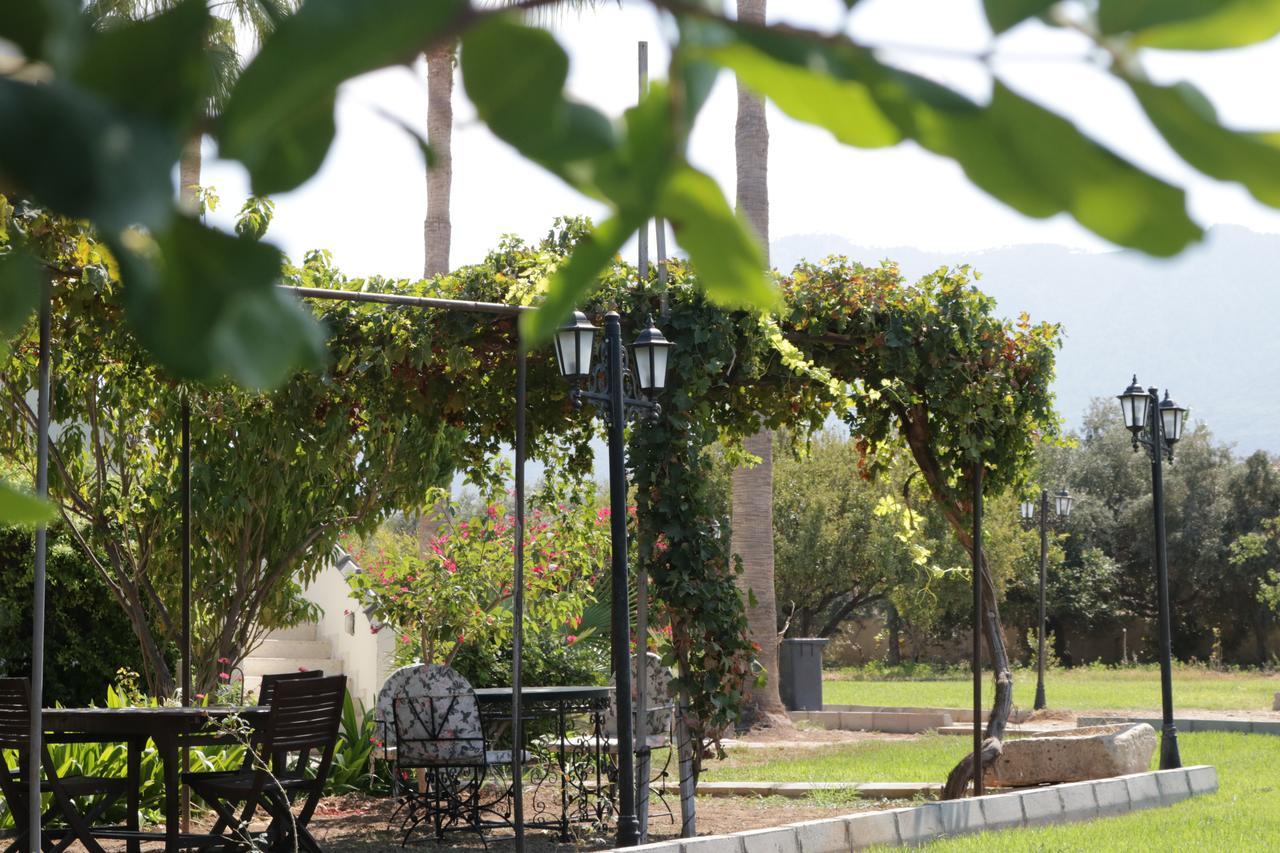 Meryem'S Hotel Agios Epiktitos ภายนอก รูปภาพ